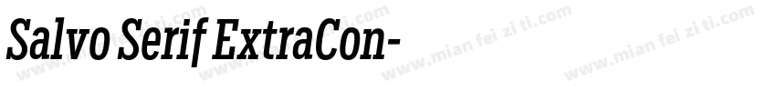 Salvo Serif ExtraCon字体转换